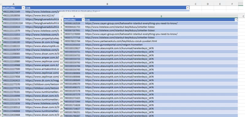 Enhancing Business Potential with Customer Lists and Data