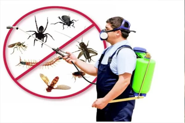Opening an Insect Spraying Company