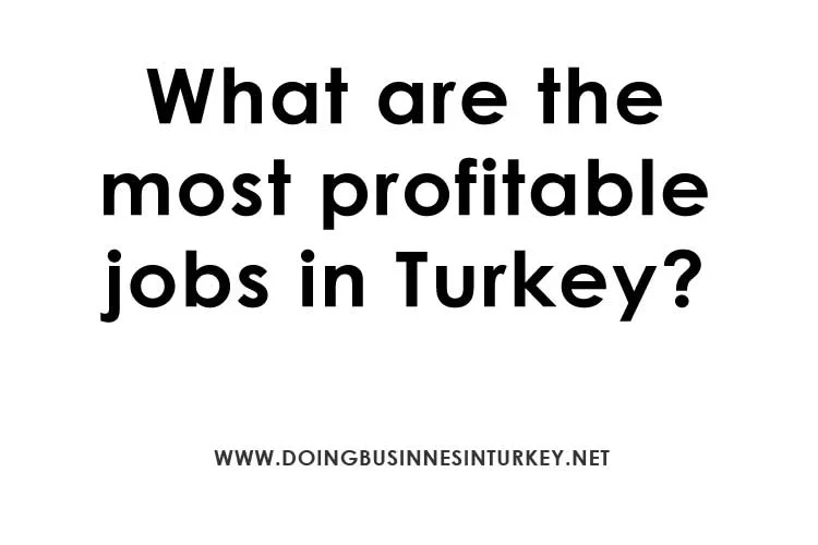 Turkey’s Best-Paying Jobs: What You Need to Know