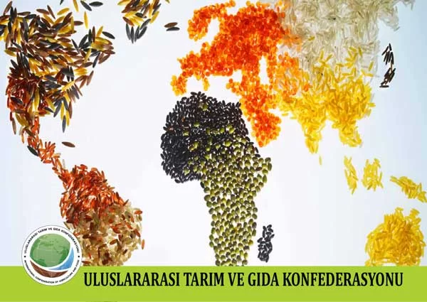 Exploring TARIMKON: International Collaboration in Agriculture and Food Industry