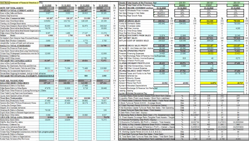 Company Valuation Services